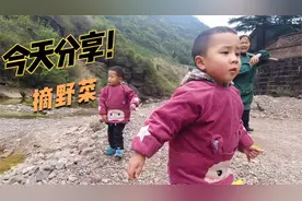 又到了挖野菜的时候了，带两个娃体验采摘视频封面