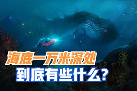 海底一万米，到底有什么？奇异景象颠覆人类认知，你敢去探险吗？