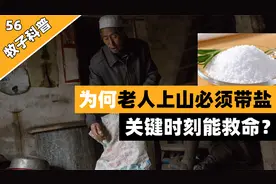 为何农村老人进山总要拿包盐，野兽真的害怕盐吗？老猎人说出实情视频封面