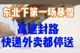 黑龙江入冬以来连续下了两天暴雪  航班停运 快递 外卖都停运了视频封面