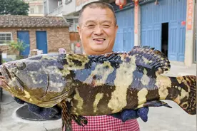 600买2条大龙胆，阿胖山秘制“辣子鱼”，麻辣鲜香下酒好菜！视频封面