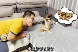 吃完大葱对狗狗哈气，结果却把狗狗整惨了，直接又蹦又跳大骂主人