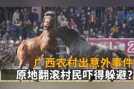 广西农村出意外事件，公马发情见马就冲，原地翻滚村民吓得躲避?
