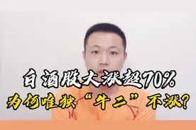 白酒股大涨超70%，唯独二锅头这股票不涨，难道“牛二”不香了？视频封面