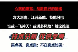 方大炭素 节能风电 江苏新能 谁或一飞冲天 或诱多风险？缠论推演视频封面