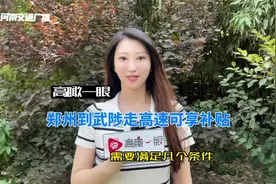 高瞰一眼   ：郑州往返武陟走高速可享补贴视频封面