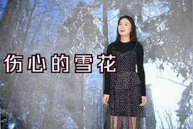 一首网络热歌《伤心的雪花》，好听走心，温柔女生版，听醉了