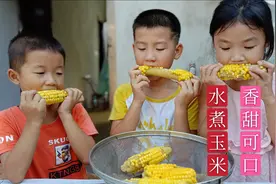 辛苦下地掰玉米，回家剥开发现全是没长好的，煮熟后全家吃得很香视频封面