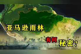 “人类的禁区”亚马逊雨林，一般人不敢进入，里面究竟有什么？视频封面
