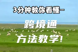 10.26跨境通：跨境通领涨，主力资金净流入，后市怎么把握！视频封面