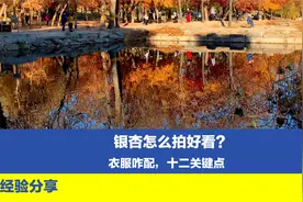 银杏如何拍摄好看？衣服配红色与蓝色更好看，十二点经验建议收藏
