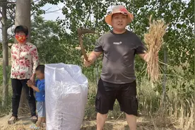 阿建之丈母娘家收麦记视频封面