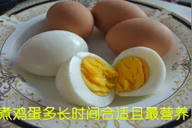 生活小常识，煮鸡蛋需要煮多长时间