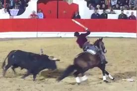 西班牙正统的斗牛有多惨，一剑一剑的插直至牛死亡。视频封面