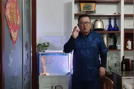 孔雀鱼侧游咋回事？余月发现一规律，稍作调整，竟然都好了
