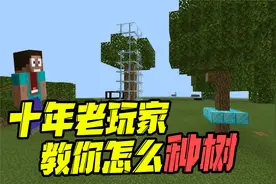 我的世界：在MC中种树也是有技巧的？十年老玩家告诉你怎么种