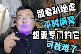 趴地虎价格飙升，掌握这几招，即可快速钓出一道贵菜