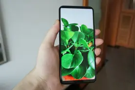 荣耀X10 AI拍摄功能体验：没想到智能识物这么好用