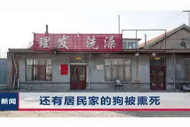 山东诸城倾倒危废致4死，居民近期遇怪事：入夜恶臭，大鹅被熏死