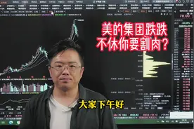 美的集团回购玩文字游戏股价跌跌不休，散户割肉还是补仓？视频封面