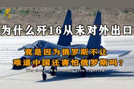 我国害怕俄罗斯？为何我国歼16从未出口，难道只是因为俄罗斯不让视频封面