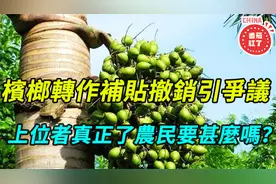 槟榔转作补贴撤销引争议，上位者真正了解农民要什么吗？