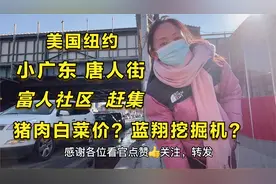 美国纽约，小广东唐人街，富人社区，商铺生意惨淡，有钱人也叫苦视频封面