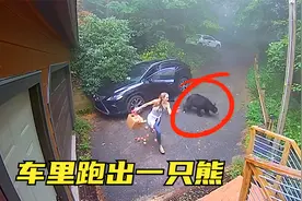 7个让人印象深刻的时刻，女子往车里放东西却发现一只熊在车里视频封面