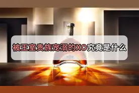 酒界极品，被王室贵族宠溺的XO，到底是什么？视频封面