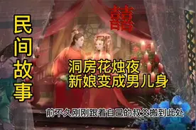 洞房花烛夜，新娘变成男儿身视频封面