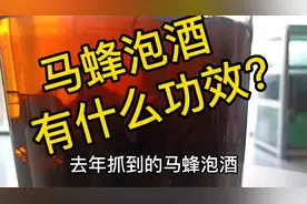 马蜂泡酒有什么功效视频封面