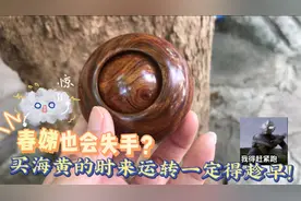 超好玩的黄花梨手把件，寓意时来运转，盘玩巴适的很