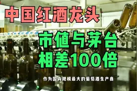 中国“红酒龙头”：同样是酒类龙头，为何市值与茅台相差这么多？视频封面