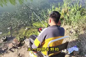 野钓京杭大运河，空军5个小时，一口都没有，这到底是啥情况？