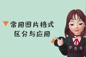 打工人必备！JPEG,BMP,GIF,PNG常用图片格式难区分？教你秒懂！