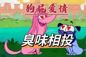 狗子之间的爱情有多单纯？只需臭味相投就能谈恋爱！视频封面