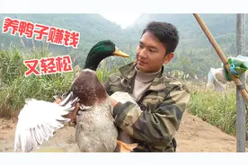 农村小伙回家搞养殖，山里用电问题只能这样解决，还省了不少钱视频封面