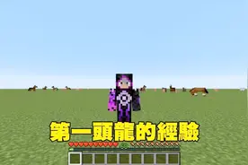 我的世界：打死一头末影龙有12000点经验！还有怪物比他高吗？