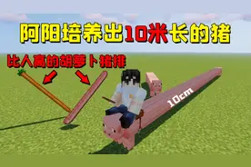 我的世界mod：用秘制胡萝卜养出10米长的猪，掉落的猪排比人还高