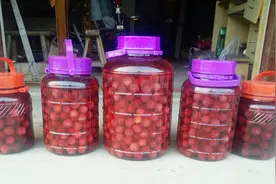 解除烦渴、消暑解腻的杨梅酒 泡到这个时间就够啦 超过苦涩难喝！