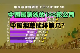 中国最赚钱的100家公司排行榜 网友：看到前十名我就放心了