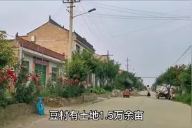 中国最大的村子，号称天下第一村的陕西周至豆村，看看这里怎么样视频封面