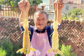 3400买7只富贵虾，个个堪称巨无霸，第一次吃这么大虾王视频封面