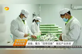 湖南探索实施“四带四推”产业扶贫新模式，带动376万人口脱贫视频封面