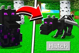 我的世界变形生存35：如何把龙蛋孵化！变身末影龙？