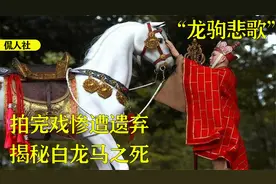 西游记“5号演员”白龙马，被当景物展览，最终曝尸荒野无人收尸视频封面