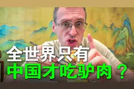 中国是世界上唯一吃驴肉的国家？驴肉火烧~让外国人嘴馋的美食！