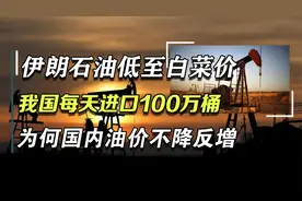 我国从伊朗进口石油，每天高达上百万桶，为何国内油价不降反增视频封面