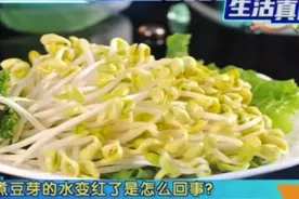 煮豆芽的水变红了是何原因？这样的豆芽还可以吃吗？