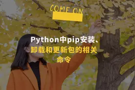 Python中pip安装、卸载和更新包的相关命令